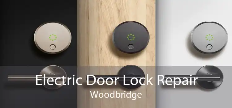 Electric Door Lock Repair Woodbridge