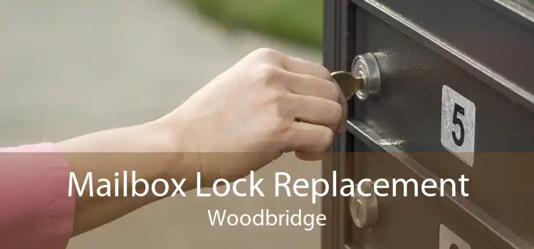 Mailbox Lock Replacement Woodbridge