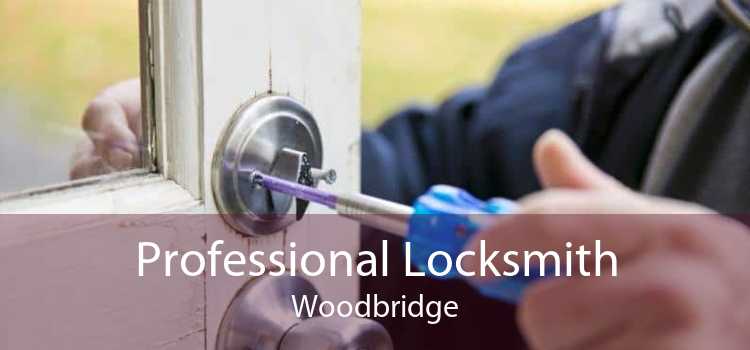 Professional Locksmith Woodbridge