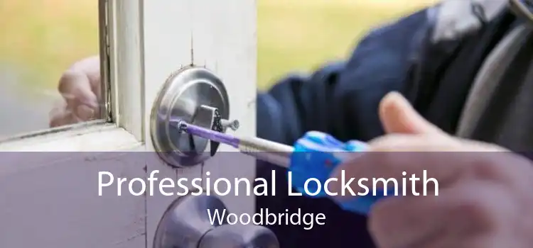 Professional Locksmith Woodbridge